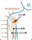 リンパの流れにより血液を促進する